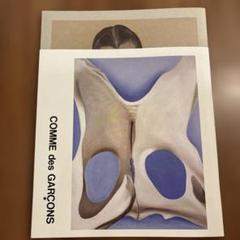 COMME des GARCONS 2010年11年A/WコレクションDMは冊子 COMME des GARCONS 2010年11年A/WコレクションDMは冊子 - メルカリ