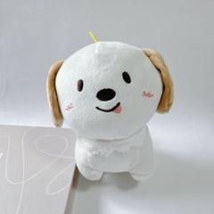 韓流ショップ購入品】RIIZE ライズ アントン 20cmぬいぐるみ