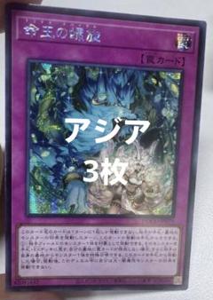 遊戯王 ラビュリンス アジア シークレット セット 6枚 ☆アジア☆白銀の城のラビュリンス/シークレット【モンスター