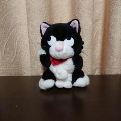レトロ キャッツライブ ねこ ぬいぐるみ 当時物 キャッツライブ ぬいぐるみ レトロ プライズ チェロ ねこ