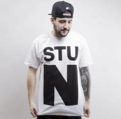 stussy Tシャツ　STU N white