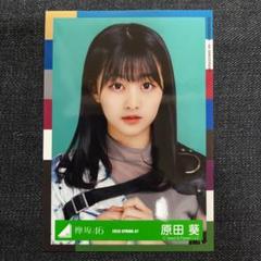 欅坂46 サイン入り ファイル 原田葵 値下げ可能！