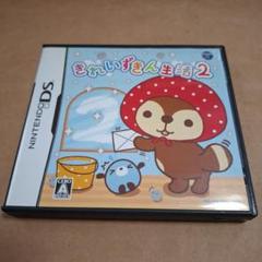 きれいずきん生活２　DS中古ソフト