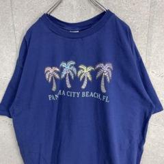anvil 00s パナマシティ　プリント　オーバーサイズTシャツ 2X