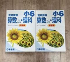 【レア・非売品・未使用品】 希学園 国語 読解サブテキスト 希学園 小5 ベーシック国語 精読テキスト/トレーニング/解答