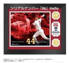 □□ 大谷翔平選手 2023 AL HR王獲得記念コイン 86/2023
