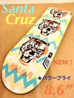 ★新品入荷【SantaCruz】サンタクルズ サンタクルーズ デッキ 完売モデル