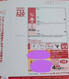 【匿名発送】レターパックプラス600✖️１１枚セット 日本郵便 レターパック プラス 600 送料無料 : 送料無料的商店