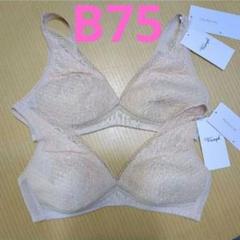 トリンプ　B75　楽らく係496 ノンワイヤーブラジャー　2枚セット
