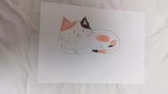 猫 イラスト