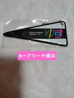ゆず 図鑑 横浜 ペナントキーホルダー 2025年最新】ゆず 図鑑 ペナントキーホルダーの人気アイテム