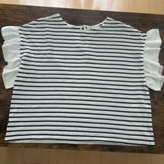 ストライプ柄フリル袖Tシャツ　ボーダー　オフィスカジュアル