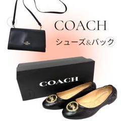 2025年最新】COACHフラットシューズの人気アイテム - メルカリ