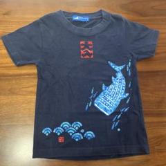 沖縄美ら海水族館 魚プリント Tシャツ S