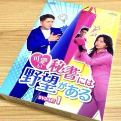韓国ドラマ 可愛い秘書には野望がある DVD-SET1〈8枚組〉のサムネイル