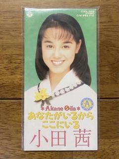茜白書 - Amazon.com Music