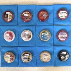 ハーゲンダッツオリジナルミニバッグ•缶バッジ ハーゲンダッツ オリジナル缶バッジ 缶バッチ 計12点セット