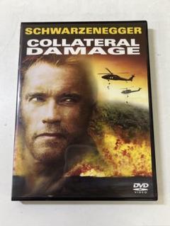 廃盤メロハー,AOR TED POLEY/COLLATERAL DAMAGE