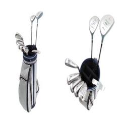 Mizuno ZEPHYR レディース ゴルフクラブ 8本セット バッグ付♪