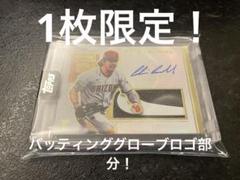 世界1枚！PANINI Barak アントニン バラーク 直筆サイン 1of1 世界1枚！PANINI Barak アントニン バラーク 直筆サイン 1of1