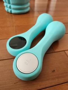 【新品未使用】500g×2 ダンベル Moveit