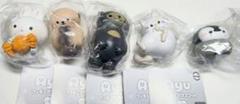 【新品・未開封・ちいかわセット】マレーグマを被ったちいかわ&ハチワレ&うさぎ 4582662942905_eae2f342-e3f8-