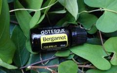 【❗️誤開封 未使用 最安】ドテラ ベルガモット 15ml 期限27年10月のサムネイル