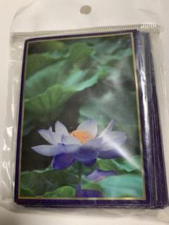希少 睡蓮の花　black lotus　スリーブ　未開封 Amazon.co.jp: 睡蓮の花 mtg スリーブ 水蓮の花 ブラック