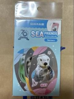 鳥羽水族館　コレカ　10パックセット　70周年記念　メイキラ　セレナ　チェキ風 2025年最新】鳥羽水族館 70周年の人気アイテム - メルカリ