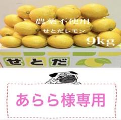 9国産瀬戸田レモン9kg前後 15国産瀬戸田レモン9kg前後 - メルカリ