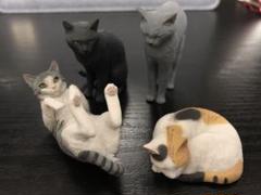 最新情報 2025年最新】森口修の人気アイテム - メルカリ 猫雑貨・オーナーズグッズ