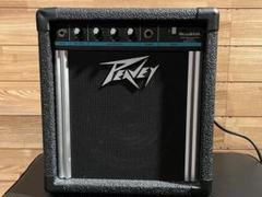 2025年最新】peavey ベースの人気アイテム - メルカリ