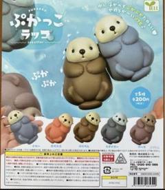 ぷかっこラッコ　　ガチャ　全5種　コンプリート