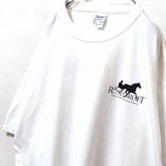 ギルダン ローズクロフト ロゴ Tシャツ ホワイト 白 XL 古着