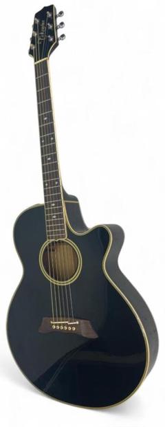 takamine アコースティックギター T-F2TBS ハードケース付き 楽天市場】takamine ハードケース（アコースティックギター