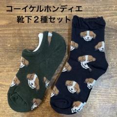 C 【新品】コーイケルホンディエ　靴下　２種セット　デコピン　大谷翔平　犬