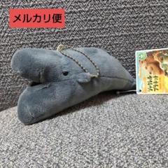 ねそべり　マスコットボールチェーン Amazon.co.jp: サラブレッドコレクション ねそべりマスコット
