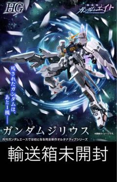 【輸送箱未開封】HG 1/144 ガンダムジリウス
