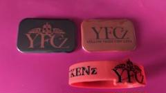 【新品・未開封】GACKT YFCz VVIP特典 GACKT YELLOW FRIED CHICKENz Documentary #5「Introduce Band