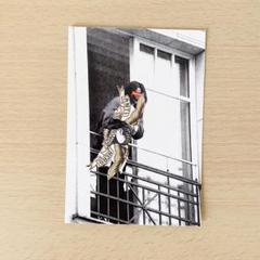 2025年最新】Supreme ANTIHERO ステッカーの人気アイテム - メルカリ