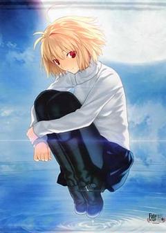 Amazon.co.jp: 月姫 -A piece of blue glass moon- アニメイト