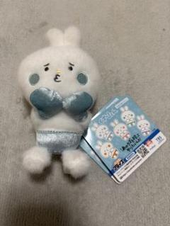 くずぴょん　ぬいぐるみマスコット　ブルー 2025年最新】くずぴょん 青の人気アイテム - メルカリ