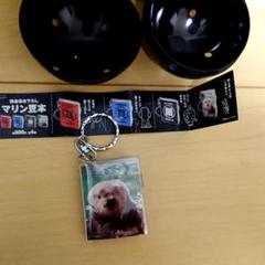 マリン豆本☆らっこ キーホルダーMARINE WORLD　完全書き下ろし マリン豆本☆らっこ キーホルダーMARINE WORLD 完全書き下ろし