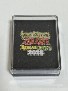 TUBE 20周年 ピンバッジセット オリジナルボックス付き TUBE 20周年 ピンバッジセット オリジナルボックス付き