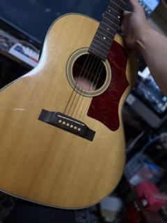 2025年最新】gibson j-45 ローズウッドの人気アイテム - メルカリ