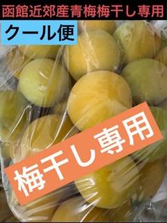 クール冷蔵着払い発送‼️函館近郊産青梅 豊後梅3キロサイズL以上