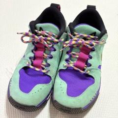 ナイキ NIKE ACG DOG MOUNTAIN 24cmのサムネイル