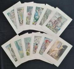 シャルル・ペローの童話集 別刷挿絵12枚 ウンベルト