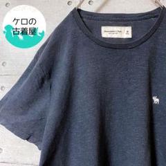 アバクロンビー＆フィッチ ワンポイント 刺繍 Tシャツ M ネイビー