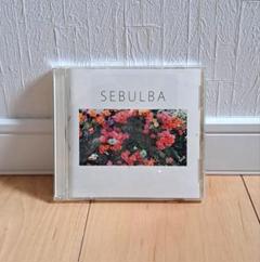 踊ってばかりの国　SEBULBAのサムネイル